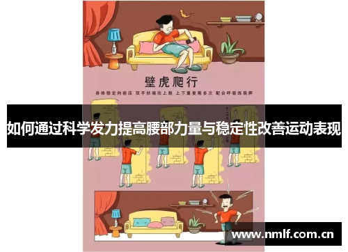 如何通过科学发力提高腰部力量与稳定性改善运动表现